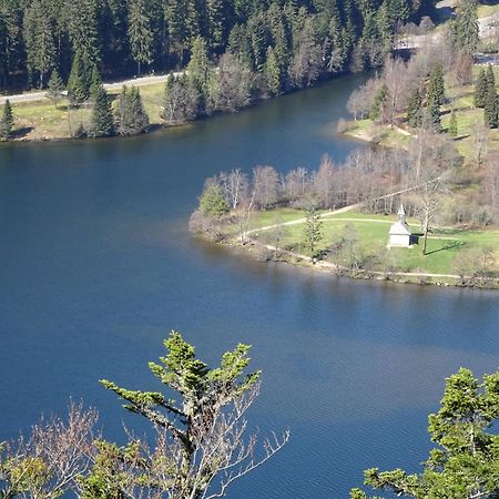 Вілла Chalet La Petite Perle Жерарме Екстер'єр фото