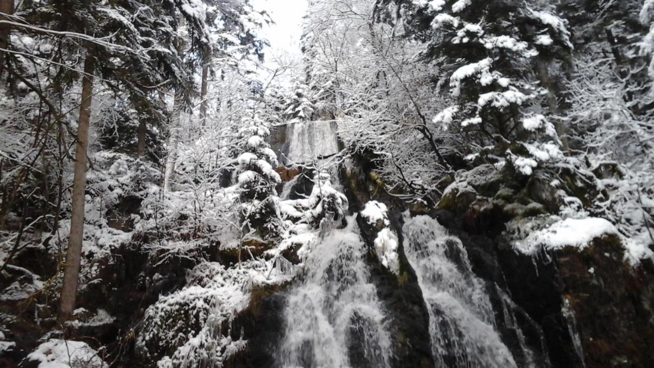 Chalet La Petite Perle Жерарме Екстер'єр фото