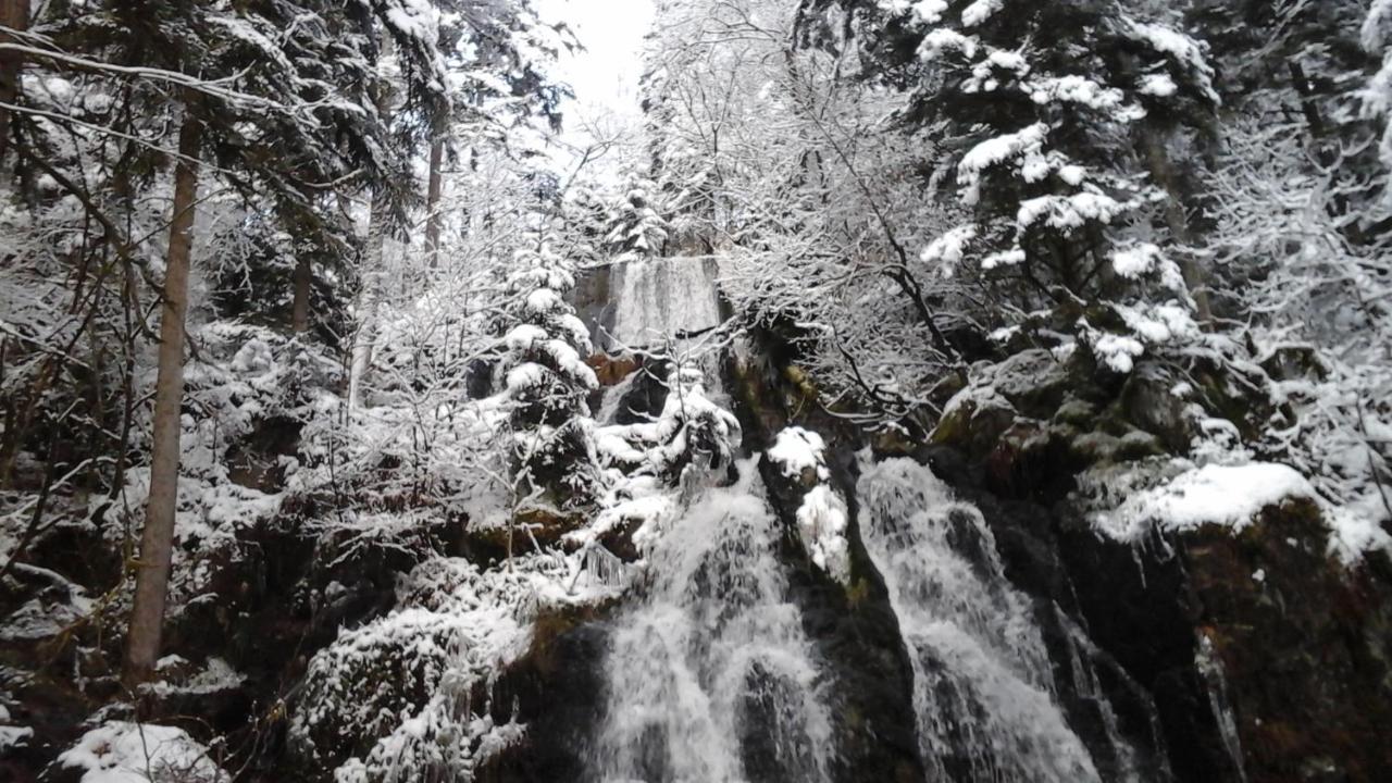 Вілла Chalet La Petite Perle Жерарме Екстер'єр фото