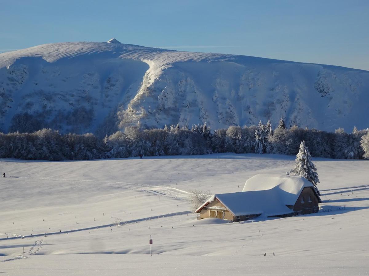 Вілла Chalet La Petite Perle Жерарме Екстер'єр фото